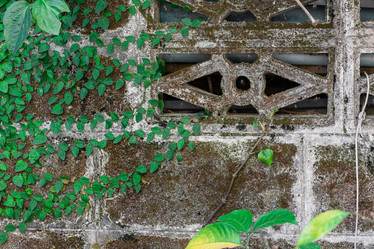 Similar image 8458824