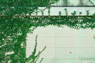 Similar image 8458826