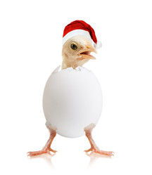 Similar image 8458840