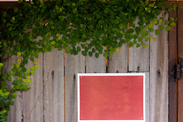 Similar image 8458858