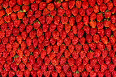 Similar image 8458859