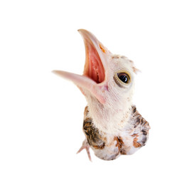 Similar image 8458878