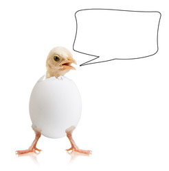 Similar image 8458891