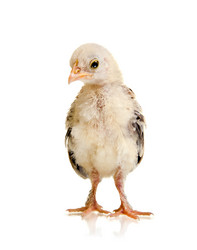 Similar image 8458904