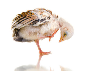 Similar image 8458926