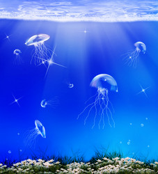 Similar image 8459039