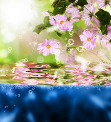 Similar image 8459040