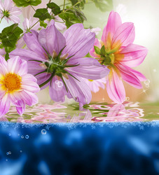 Similar image 8459041