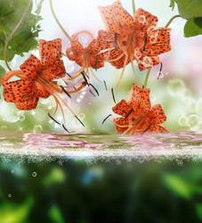 Similar image 8459043