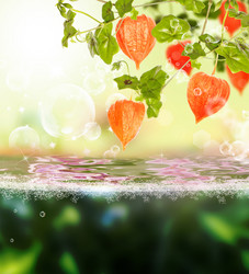 Similar image 8459046