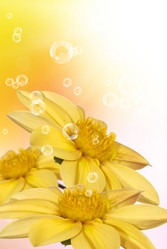 Similar image 8459047