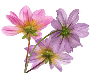 Similar image 8459048