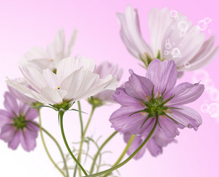 Similar image 8459049