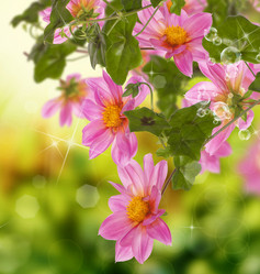 Similar image 8459051