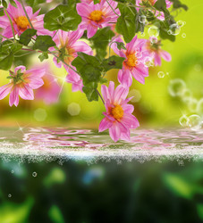 Similar image 8459052