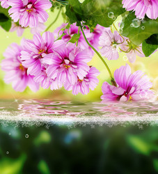 Similar image 8459053