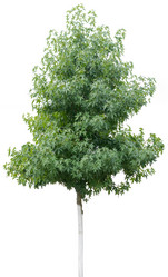 Similar image 8459090