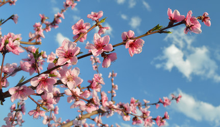 Similar image 8459137