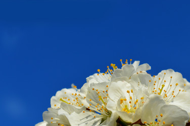 Similar image 8459138