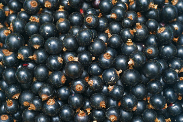 Similar image 8459146