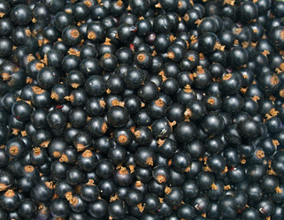 Similar image 8459148