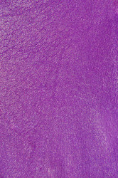 Similar image 8459179