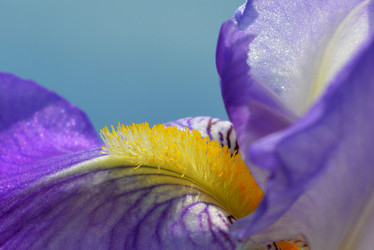 Similar image 8459194