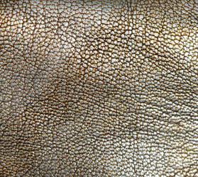 Similar image 8459209