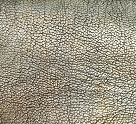 Similar image 8459214