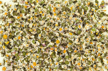 Similar image 8459222