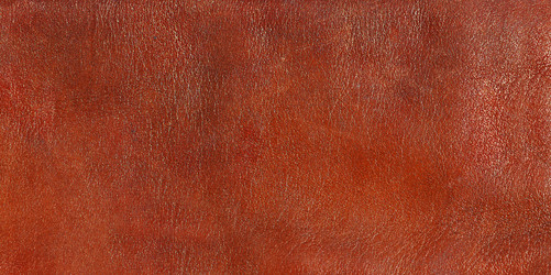 Similar image 8459228