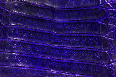 Similar image 8459234