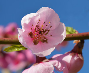 Similar image 8459239