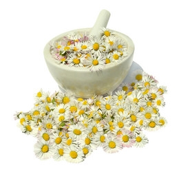 Similar image 8459316