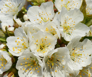 Similar image 8459378