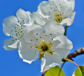 Similar image 8459393