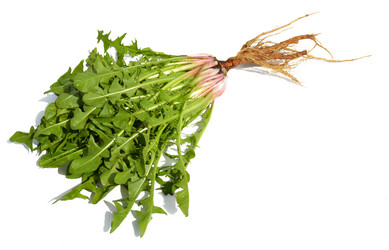 Similar image 8459419