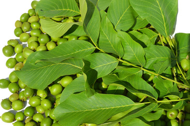 Similar image 8459525