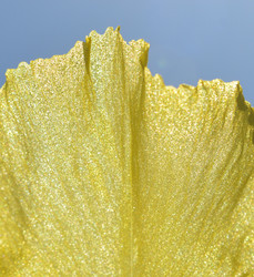 Similar image 8459576