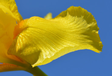 Similar image 8459711