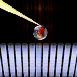 Similar image 8459797