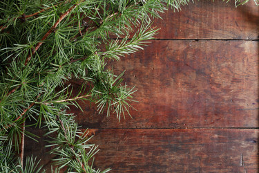 Similar image 8459894