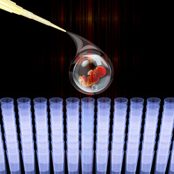 Similar image 8459947