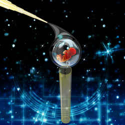 Similar image 8459960