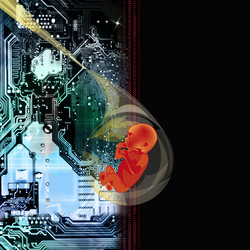 Similar image 8460230