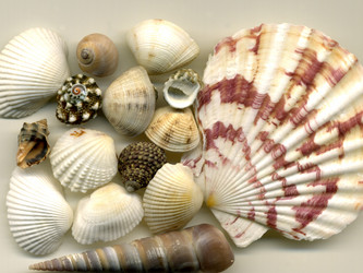 Similar image 8460275