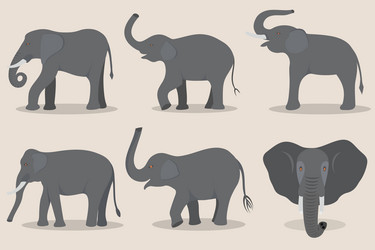 Similar image 8460392