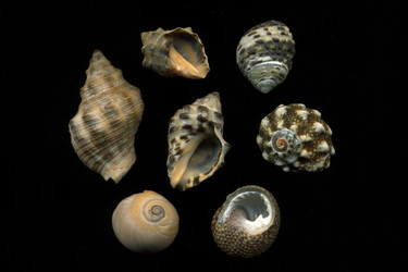 Similar image 8460403