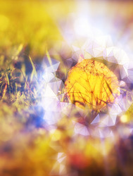 Similar image 8460840