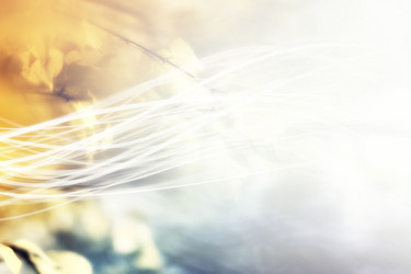 Similar image 8460846